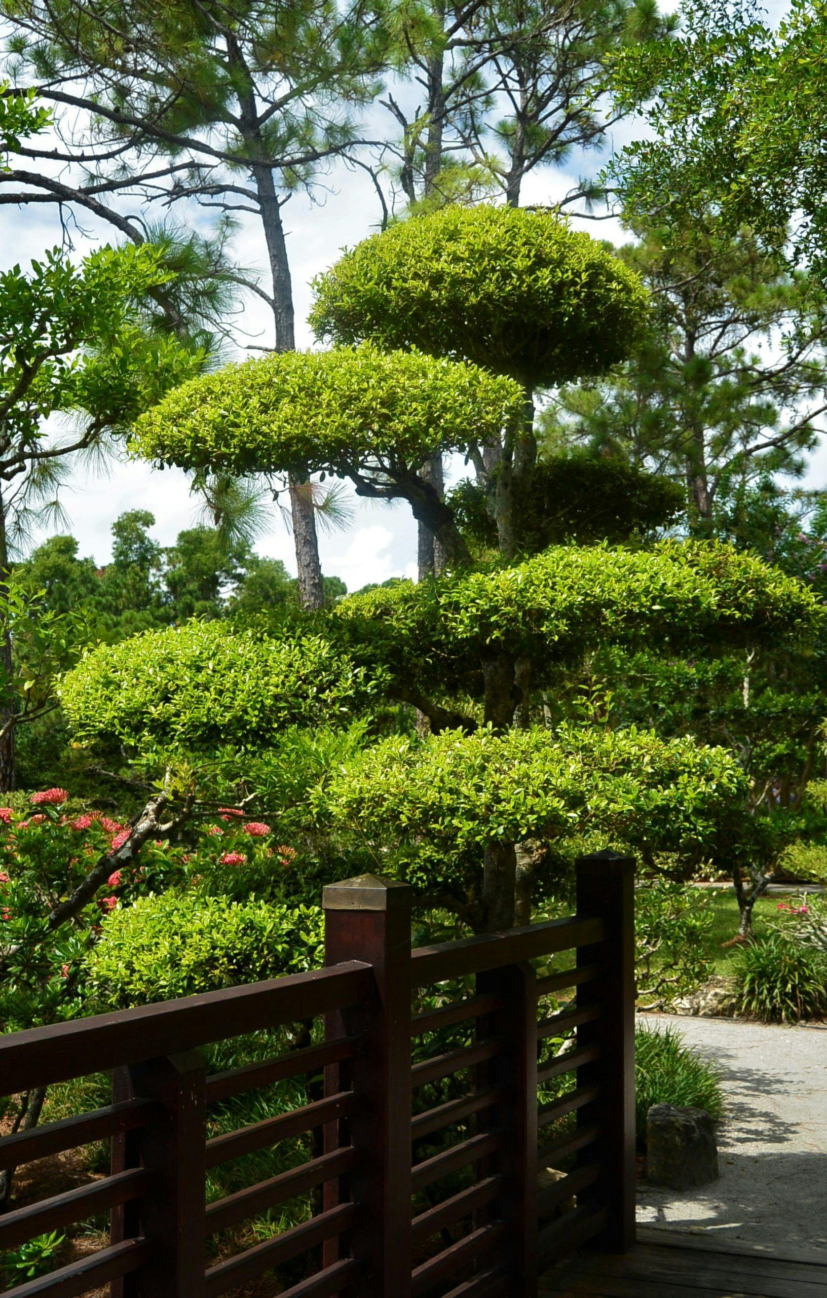 tuin verbouwen Hovenier Gigant